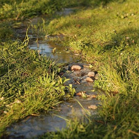 Grosse Wohnung / Haushaelfte In Peetzig Am See Angermunde Exterior foto
